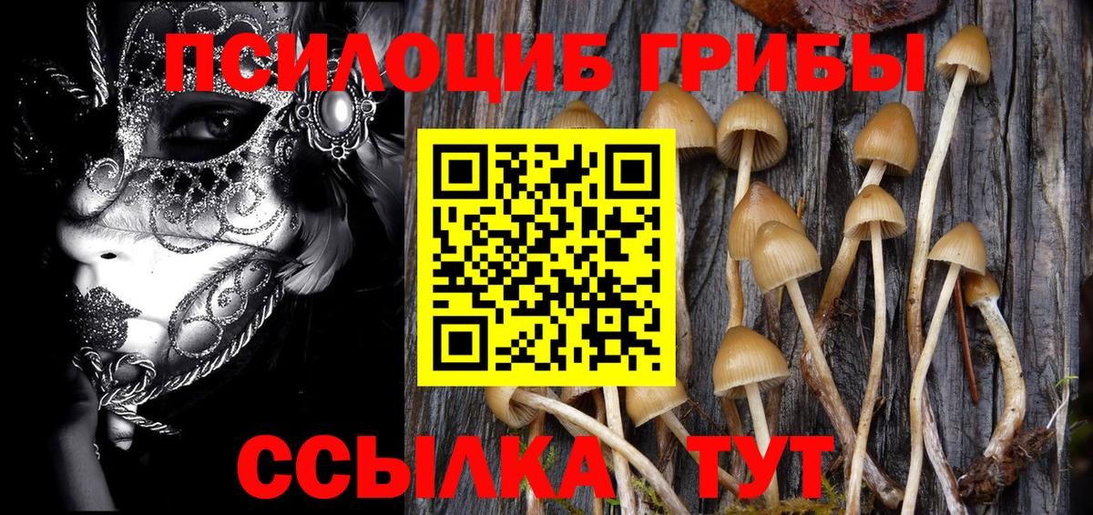 Домодедово  Галлюциногенные грибы GOLDEN TEACHER  Вход с VPN 